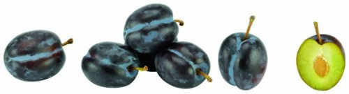 P999991627296625994_DET Zwetschgen Wiegeware ca. 500g