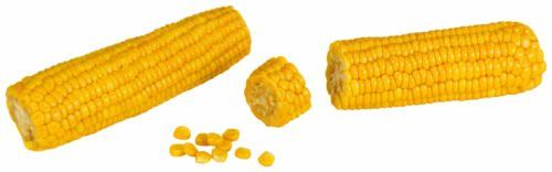 3203912000 Bio Zuckermais gekocht 400g