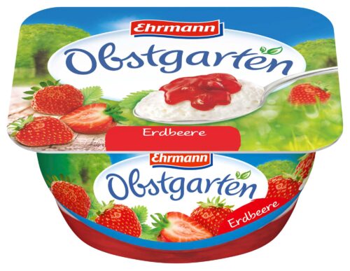 Ehrmann Obstgarten Erdbeere 125g
