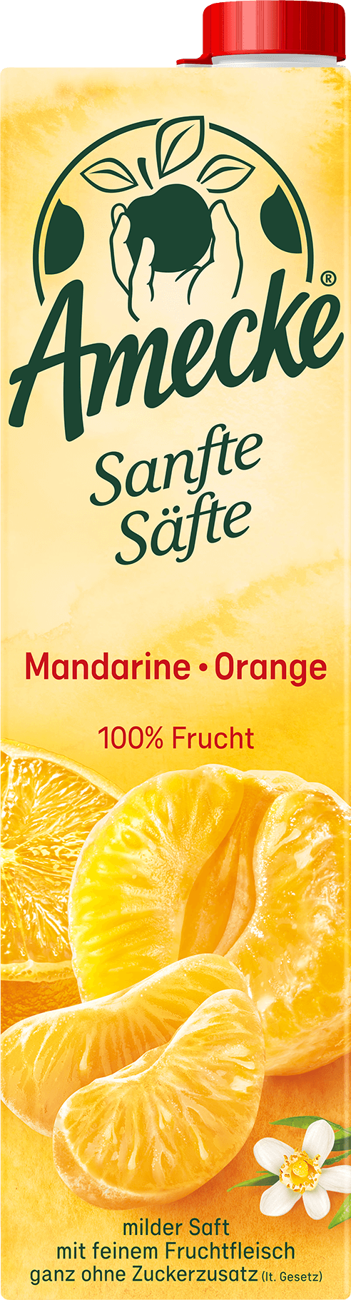 Amecke Sanfte Säfte Mandarine-Orange 1l