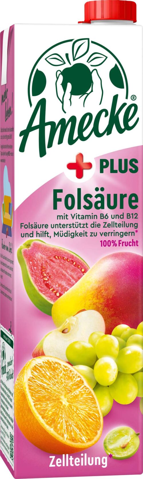 Amecke Plus Folsäure 1l
