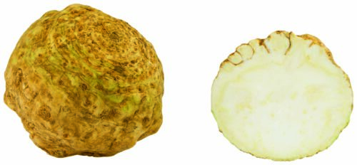 Knollensellerie 1Stück ca. 1 kg