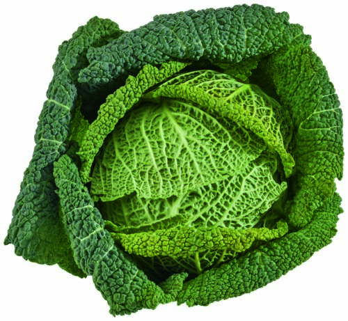 80533100 Wirsingkohl GQBY 1St ca. 1kg
