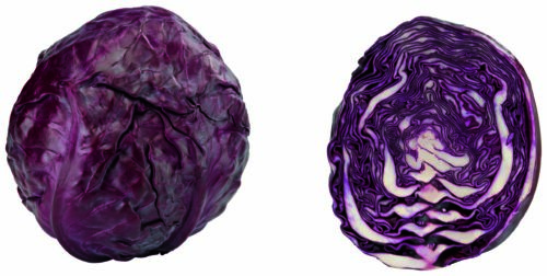 Rotkohl GQBY 1 Stück ca. 1,5kg