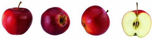 Gut & Günstig Äpfel Red Prince 2kg
