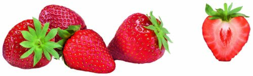 EDEKA Erdbeeren 500g