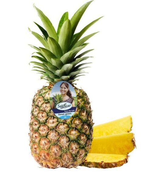 80221049 SanLucar Ananas 1St