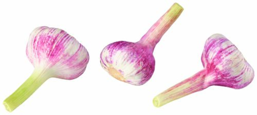 Knoblauch frisch rose GQBY 200g