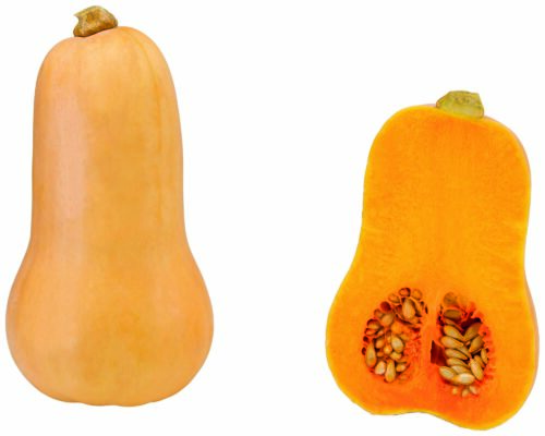 80302825 Speise Kürbis Butternut GQBY 1St ca. 1kg