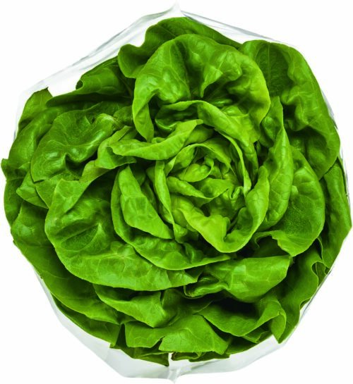 Ballenkopfsalat, Tüte 1St