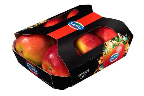 Äpfel Kanzi 760g