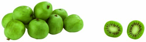 80596859 Mini Kiwis Packung 125 g