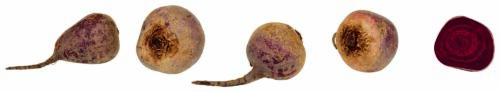Rote Bete GQBY 0,5kg