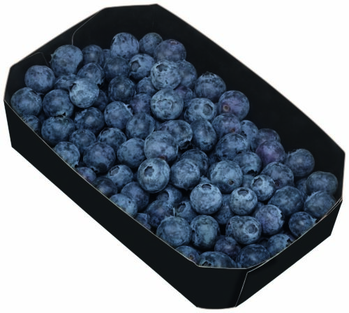 80580663 Kulturheidelbeeren 300g Packung