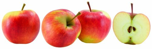 Äpfel Elstar 5 Stück ca. 1kg