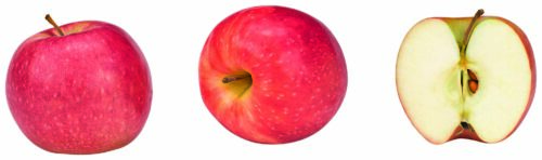 Äpfel Pink Lady 6 Stück ca. 1kg