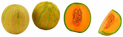 83480014 Cantaloupe Melonen 1St