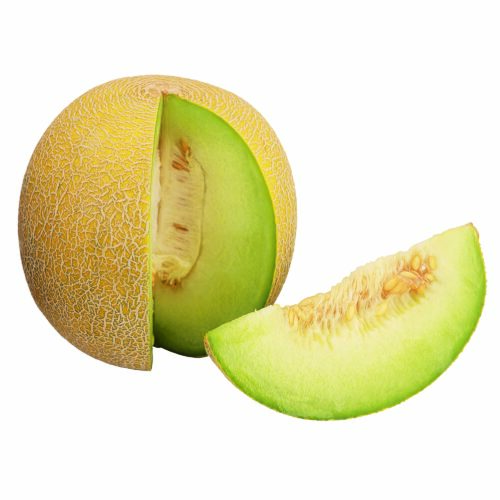 83540022 Galia Melone 1St
