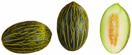 8437002118099 Zuckermelonen 1St