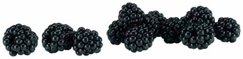 Brombeeren Packung 250g