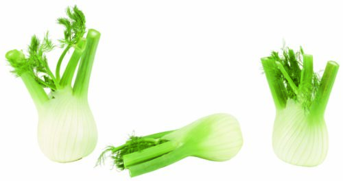 80629469 Fenchel GQBY 1St 500 g
